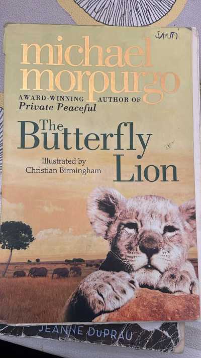 The butterfly lion